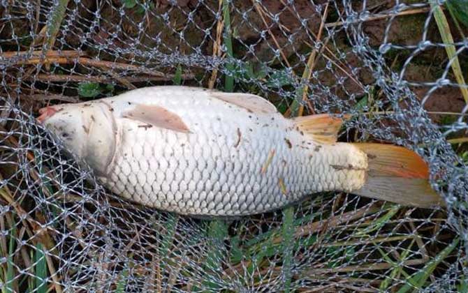 野钓气压多少适合钓鱼?