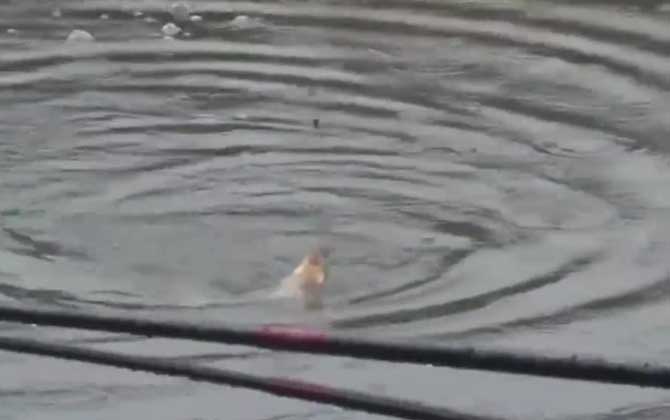 水库钓大鱼最佳深度是多少?