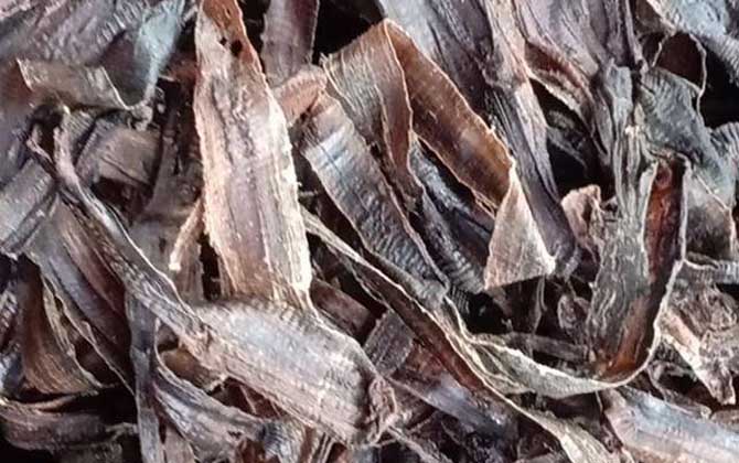 蚯蚓干价格多少钱一斤