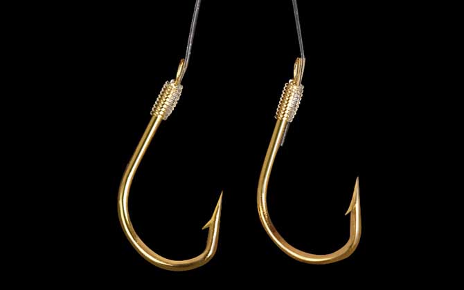 3.0号子线秒切鱼有多大