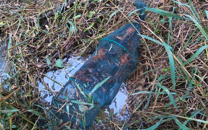 地笼是怎么捉鱼的