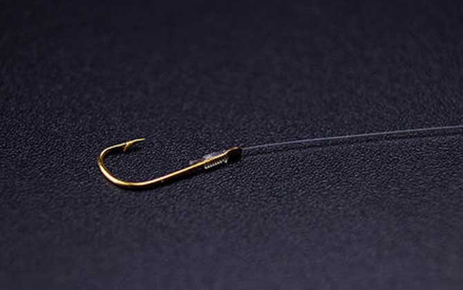 3.5号子线能钓多大的鱼