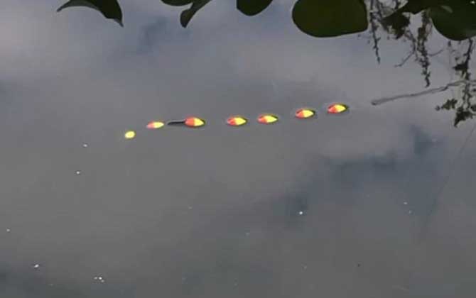 野钓鲫鱼用什么漂型的漂