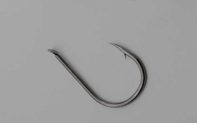 伊势尼3号钩钓鲫鱼怎么样